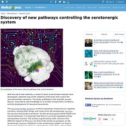 Discovery of new pathways controlling the serotonergic system