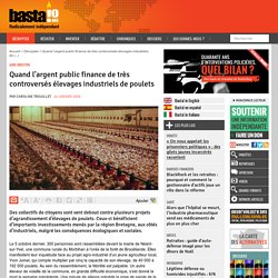 Quand l’argent public finance de très controversés élevages industriels de poulets