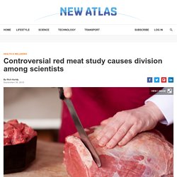 Controversial red meat study causes division among scientists