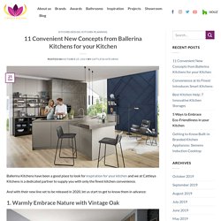 11 Convenient New Concepts from Ballerina Kitchens for your Kitchen