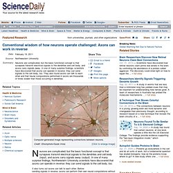 Conventional wisdom of how neurons operate challenged: Axons can work in reverse