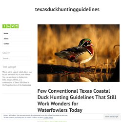 Few Conventional Texas Coastal Duck Hunting Guidelines That Still Work Wonders for Waterfowlers Today – texasduckhuntingguidelines