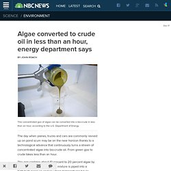 Algae converted to crude oil in less than an hour, energy department says