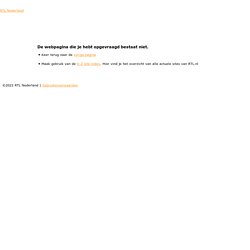 'Pirate Bay-blokkade zinloos' - EditieNL - RTL.NL