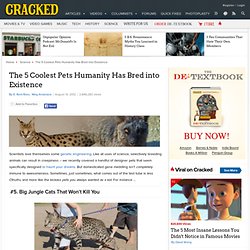 CRACKED: The 5 Coolest Pets Humanity Has Bred into Existence