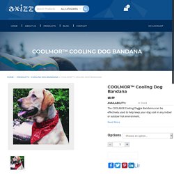 Dog Cooling Bandanna