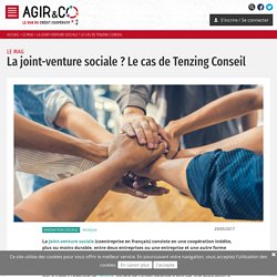 Agir & Co – Le hub du Crédit Coopératif » La joint-venture sociale ? Le cas de Tenzing Conseil
