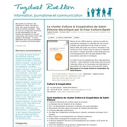 Le cluster Culture & Coopération de Saint-Etienne décortiqué par le Cnar Culture-Opale - Tugdual Ruellan - Information, journalisme et communication