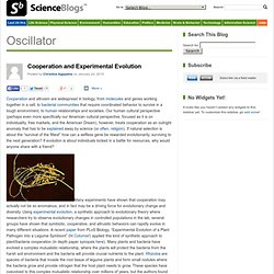 Cooperation and Experimental Evolution : Oscillator