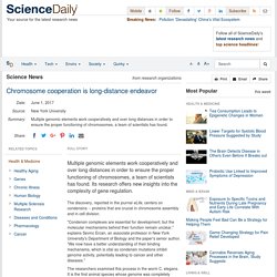Chromosome cooperation is long-distance endeavor