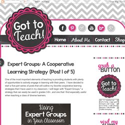 Got to Teach!: Expert Groups: A Cooperative Learning Strategy {Post 1 of 5}