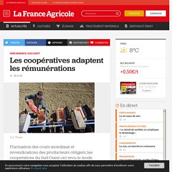 Maïs semence/ Sud-Ouest : Les coopératives adaptent les rémunérations