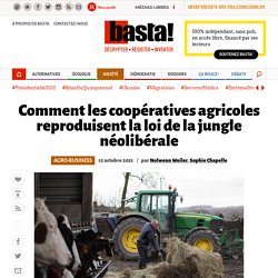 Comment les coopératives agricoles reproduisent la loi de la jungle néolibérale - Basta!