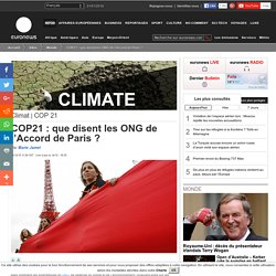 COP21 : que disent les ONG de l’Accord de Paris ?