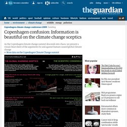 Copenhagen confusion: Information is beautiful on the climate change sceptics