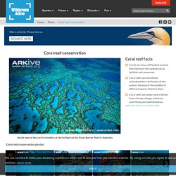 Coral reef conservation