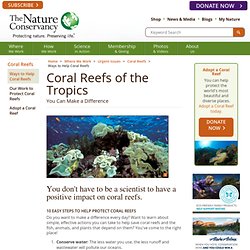 How We Can Save Coral Reefs and Why We Should