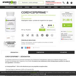 Cordyceps sinensis extrait 500 mg 90 gélules