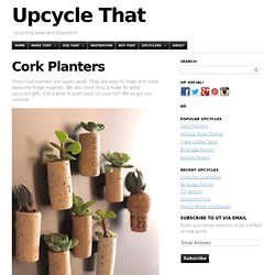 Cork Planters