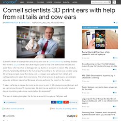 Cornell scientists 3D print ears with help from rat tails and cow ears