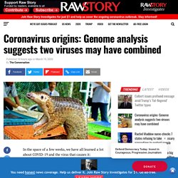 Coronavirus origins: Genome analysis suggests two viruses may have combined