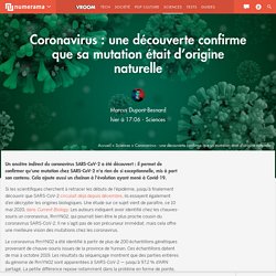 Coronavirus : une découverte confirme que sa mutation était d’origine naturelle