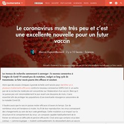 Le coronavirus mute très peu et c'est une excellente nouvelle pour un futur vaccin