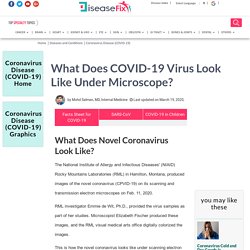 This is How Coronavirus (COVID-19) Looks Like In Microscope - DiseaseFix