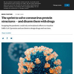 The sprint to solve coronavirus protein structures — and disarm them with drugs