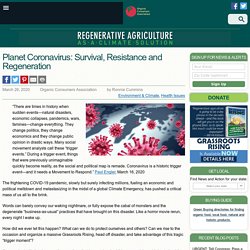 Planet Coronavirus: Survival, Resistance and Regeneration