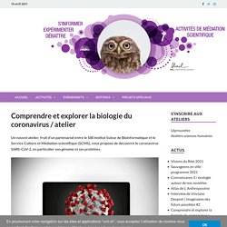 Comprendre et explorer la biologie du coronavirus / atelier – UNIL
