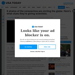 8 strains of the coronavirus are circling the globe. Here's what clues they're giving scientists