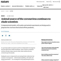 Animal source of the coronavirus continues to elude scientists