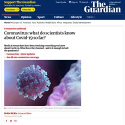Coronavirus: what do scientists know about Covid-19 so far?