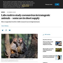 NATURE 09/03/20 Labs rush to study coronavirus in transgenic animals — some are in short supply