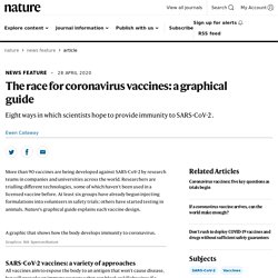 The race for coronavirus vaccines: a graphical guide