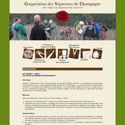 Corporation des Vignerons de Champagne - Présentation