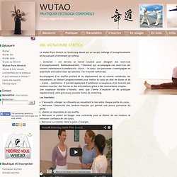 Pratiquer l'écologie corporelle : cours, stages, formations - 050. Wutao Pure Stretch -