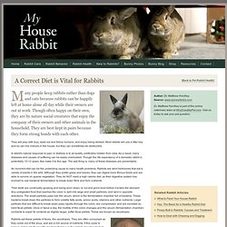 Correct Diet For Rabbits - Bunny Food