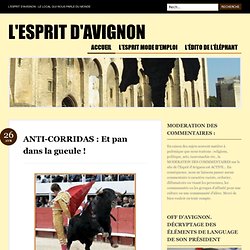 ANTI-CORRIDAS : Et pan dans la gueule ! « L'Esprit d'Avignon