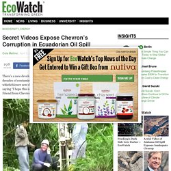 Secret Videos Expose Chevron's Corruption in Ecuadorian Oil Spill