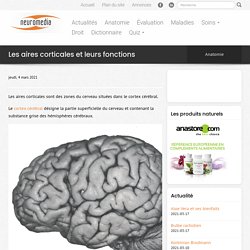 Les aires corticales et leurs fonctions - Neuromedia
