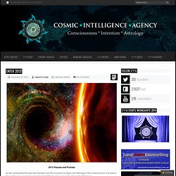 Cosmic*Intelligence*Agency - Enter 2013! »