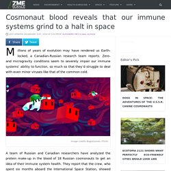 Cosmonaut blood reveals that our immune systems grind to a halt in space