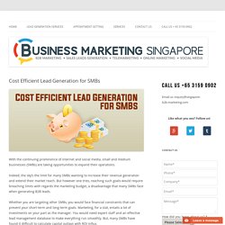 Cost Efficient Lead Generation for SMBs