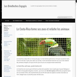 Le Costa-Rica ferme ses zoos et relâche les animaux