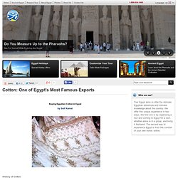 Cotton: One of Egypt's Most Famous Exports