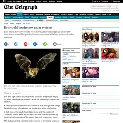 Bats could inspire new radar systems