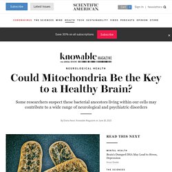 Could Mitochondria Be the Key to a Healthy Brain?