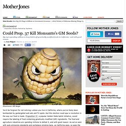 Could Prop. 37 Kill Monsanto's GM Seeds?